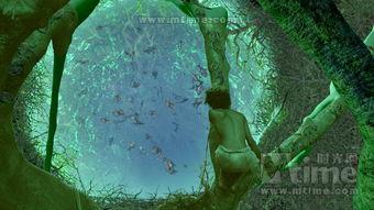 少年的奇幻漂流在线观看,一场惊心动魄的冒险之旅  第1张