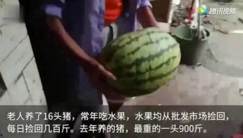 吃瓜视频完整版大全免费观看  第2张